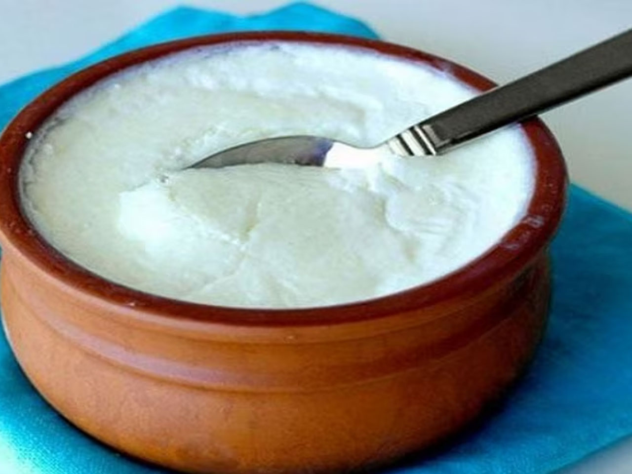 এই গরমে মুখরোচক খাবারের তালিকায় যা সহজেই রাখতে পারেন -