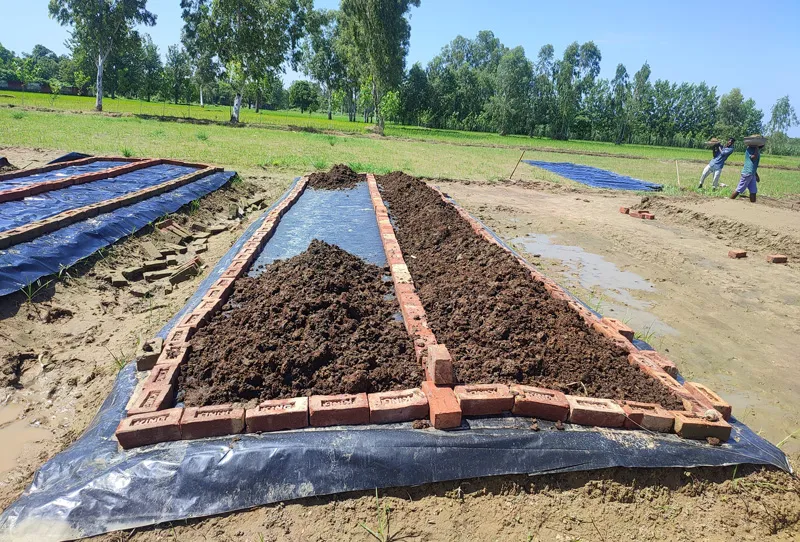 vermi beds of 40 feet