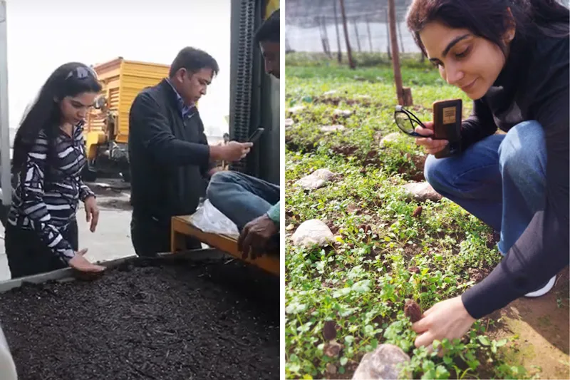 inspecting compost