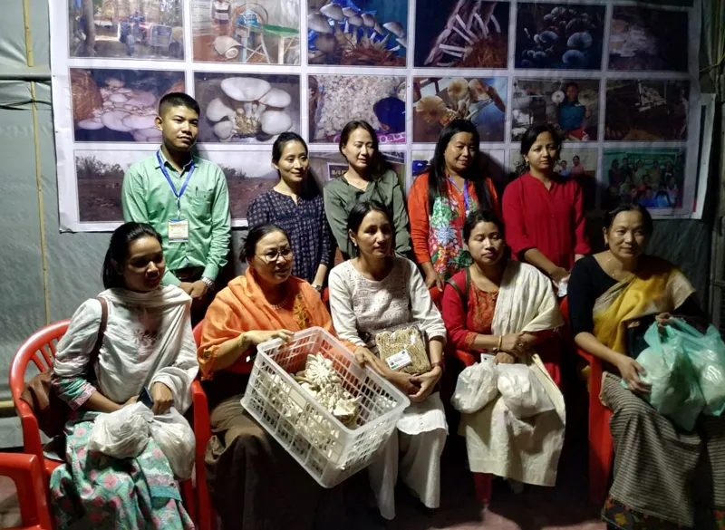 training programme