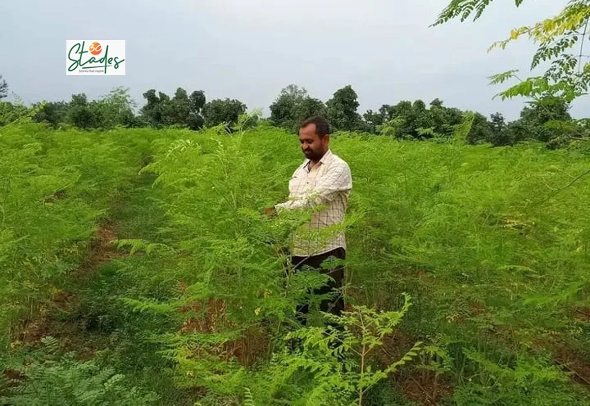 Siddheswar Mishra quit his job and began moringa farming in 2015