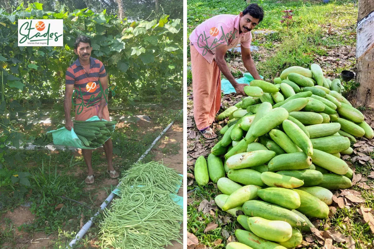 Bijesh PK cultivates organic vegetables over 8 acres in Kerala