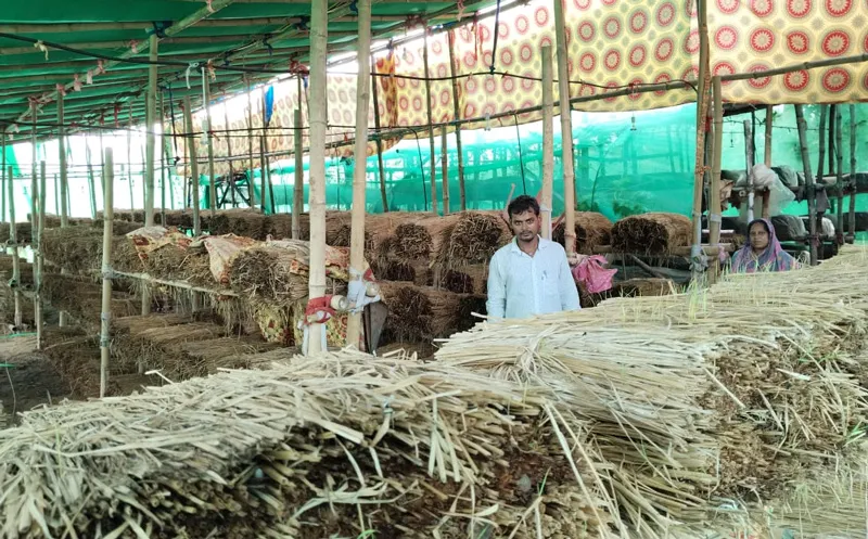 4000 beds