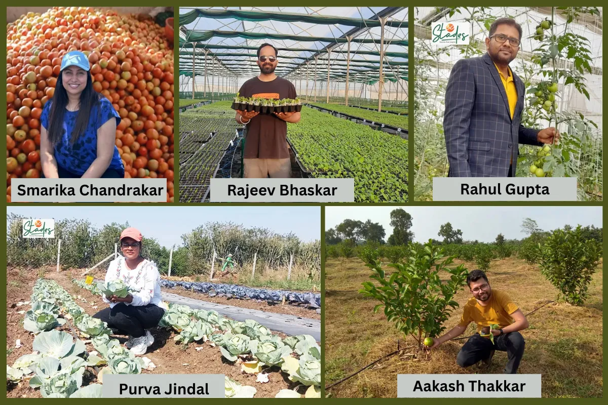 Five MBAs who quit jobs and became successful vegetable farmers