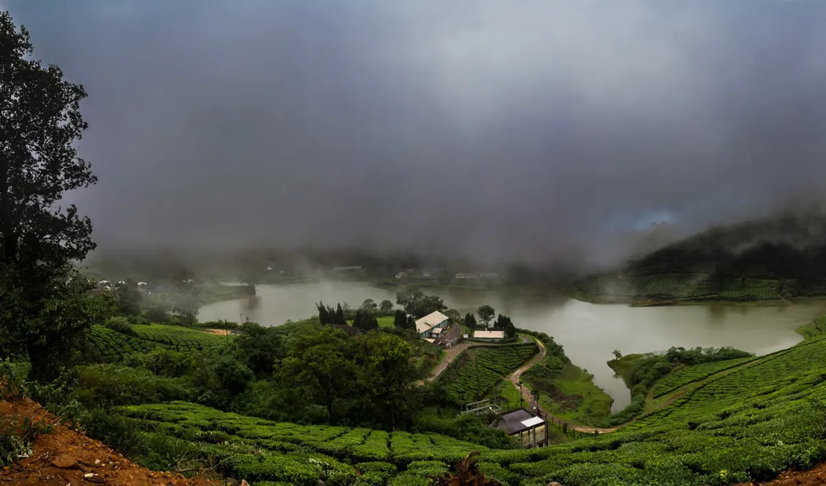 Meghamalai: Tamil Nadu's hidden gem wrapped in mist 