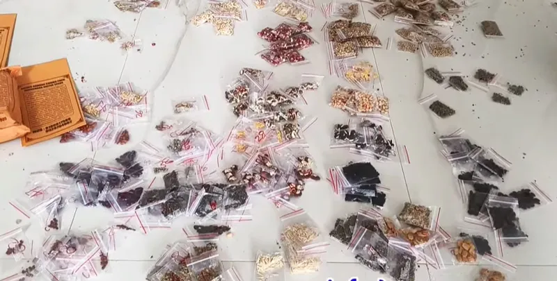 seeds for despatch