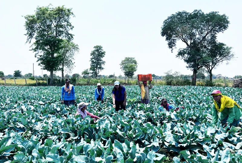farm