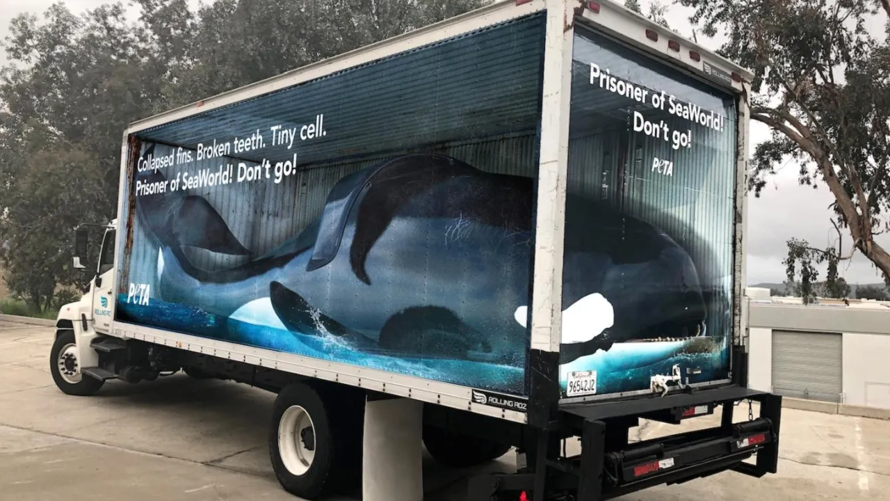 Anti-SeaWorld Campaigns