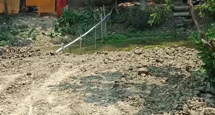 pond