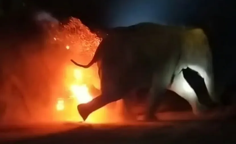 WhatsApp Image 2025-06-13 at 1.21.01 PM