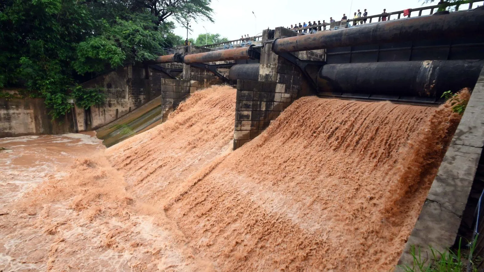 Dams full to the brim, more rain forecast: Punjab to see many long ...