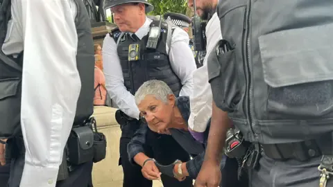 Palestine Action: More than 20 arrested at protest, Metropolitan Police say