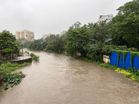 Monsoon mayhem: Bridge washed away, houses collapse as heavy rains batter  Jharkhand