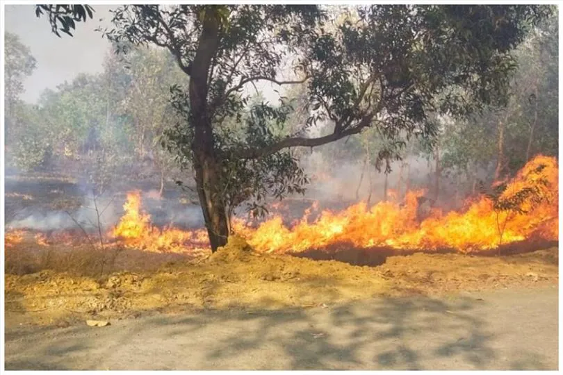 গ্যাসের গোডাউনের সামনে আগুন, ইচ্ছাকৃতভাবে আগুন ধরানোর অভিযোগ