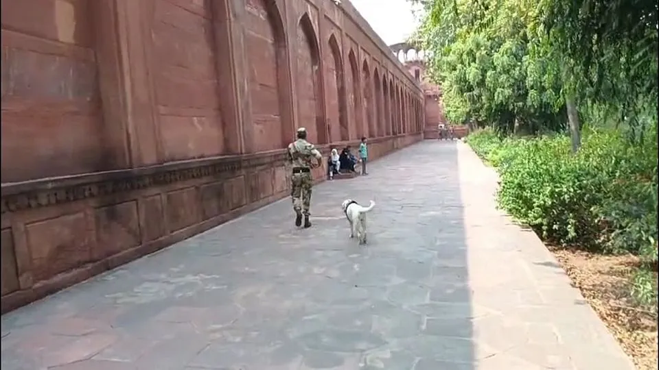 Threat Received To Bomb Blast In Taj Mahal In Agra - Amar Ujala Hindi News  Live - Up:ताज को उड़ाने की धमकी...सुरक्षा एजेंसियां अलर्ट, तीन घंटे चला  तलाशी अभियान; पेन भी नहीं