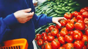 Tomato prices off peak, drop 22% on ...