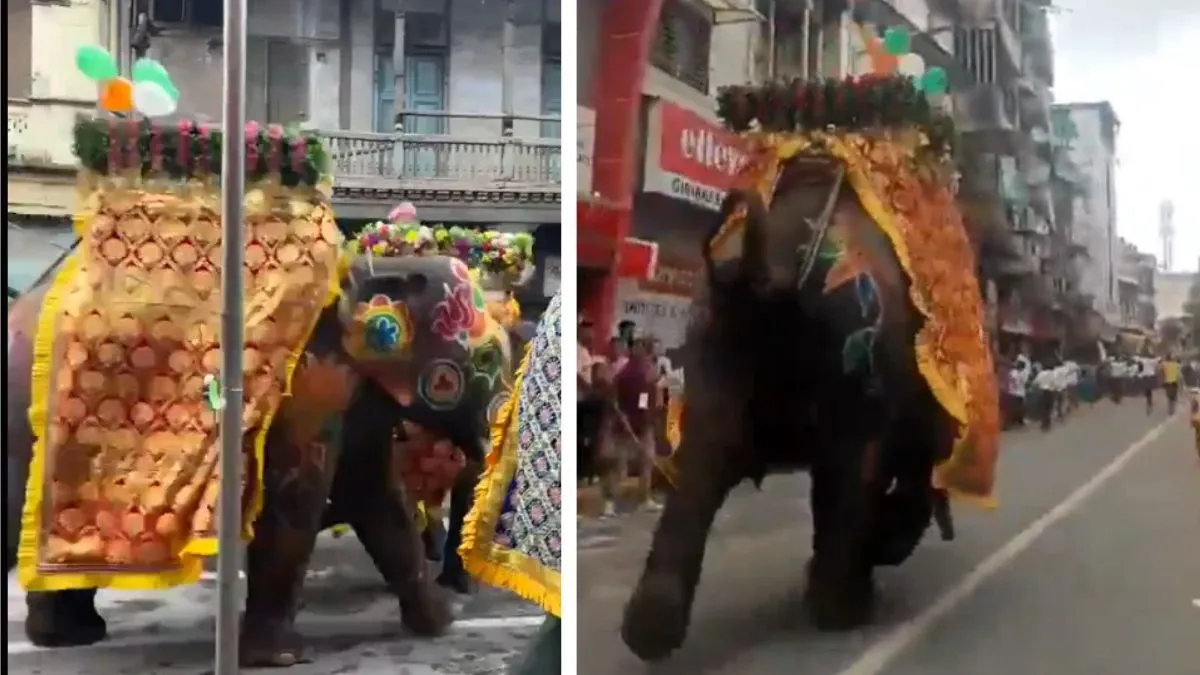 2025 Jagannath Rath Yatra: अहमदाबाद में जगन्नाथ रथ यात्रा के दौरान डीजे की तेज आवाज से बेकाबू हुए हाथी, सड़कों पर भागने लगे, भगदड़ में कई घायल