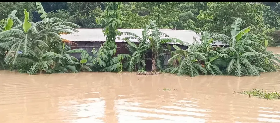 বৰাকত বানপানী
