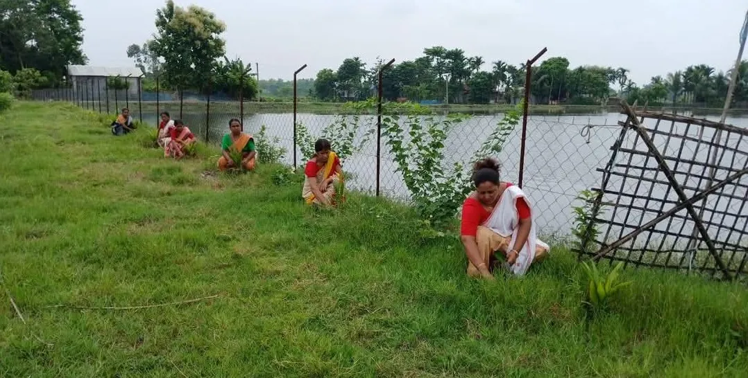 নলবাৰী