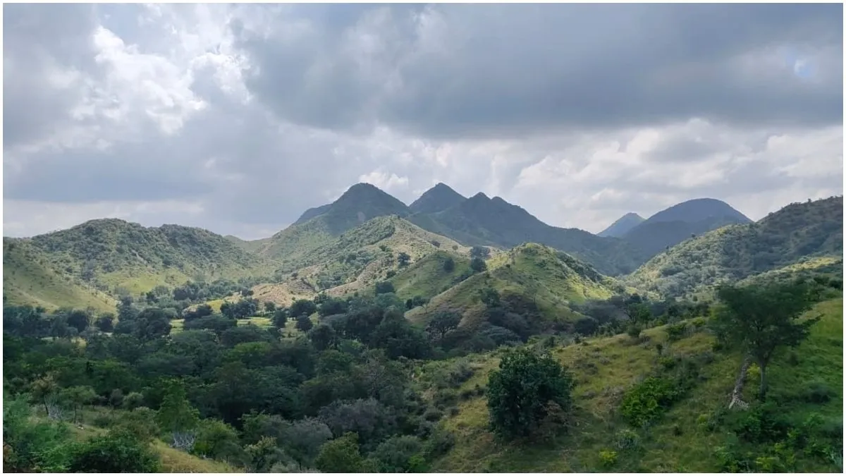 थार को थामे खड़ी अरावली के अस्तित्व पर संकट? अगर मिट गई तो क्या होगा... - Aravali  Hills Issue Explain Why is the existence of the Aravalli range under threat  tedu - AajTak