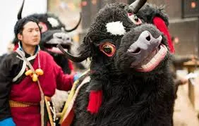 Yak Dance of Arunachal Pradesh ...