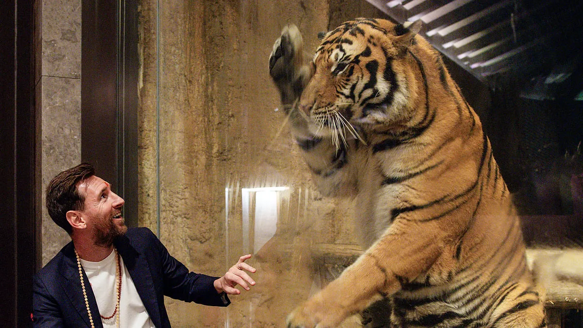 Lionel Messi GOAT India Tour: Argentina Captain Visits Wildlife  Conservation Centre Vantara In Jamnagar | Outlook India