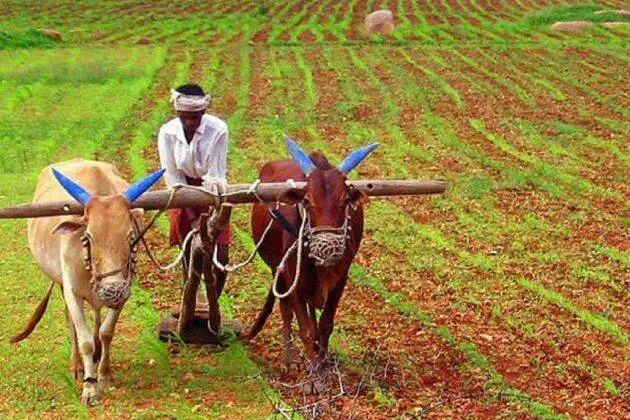 জাতীয় কৃষক দিবস ২০২০: কেন এই দিনটিতেই কৃষক দিবস পালিত হয়? জেনে নেওয়া যাক  | দেশ - News18 বাংলা