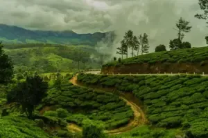 IRCTC Tour Package Kerala 