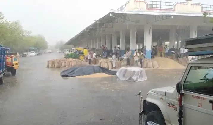 MP Weather Heavy Rain Alert