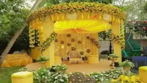 Low Cost High Profit Business Idea