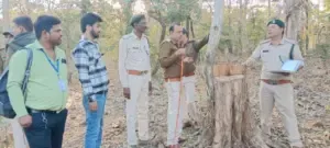 Action On Deputy Ranger Seoni