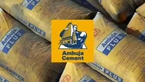Ambuja Cement share