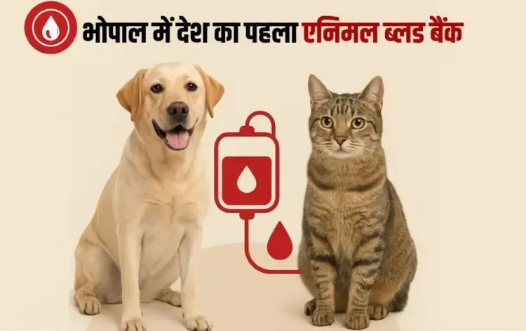 Animal Blood Bank Bhopal