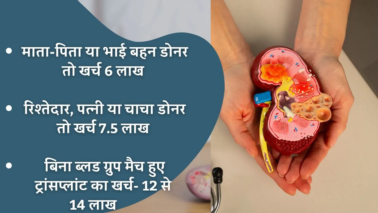 Bansal Hospital Kidney Transplant