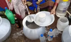 Bastar tribal liquor market