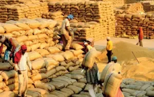 CG Anaj Bhandaran Yojana