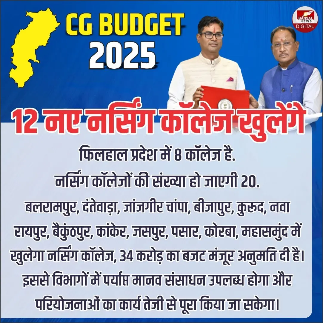 CG Budget 2025