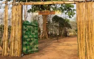 CG Khairagarh Eco-Tourism Scam