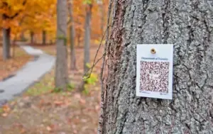 CG Mahasamund World Earth Day 2025