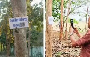 CG World Earth Day 2025