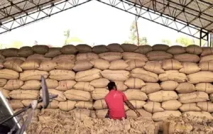 Chhattisgarh Anaj Bhandaran Yojana