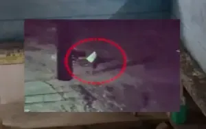 Chhattisgarh Hostel Viral Video