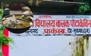 Sukma School Phenyl Case