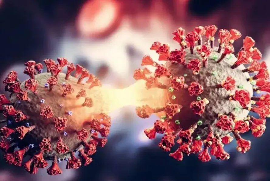 Corona Update Raipur