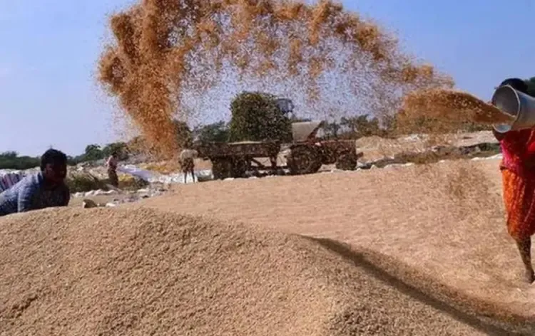 जबलपुर में धान घोटाला।