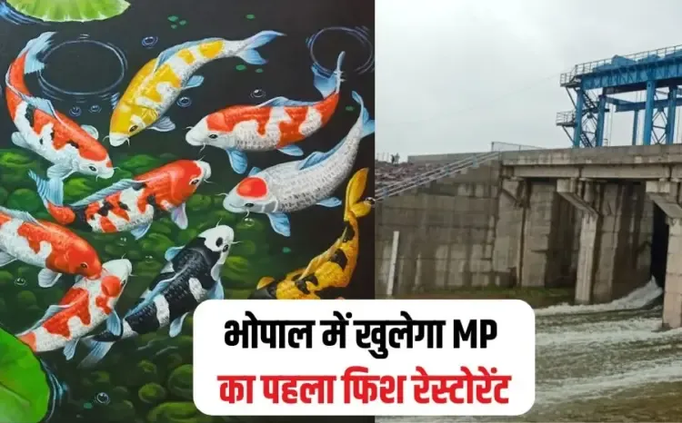 MP First Fish Restaurant Bhopal