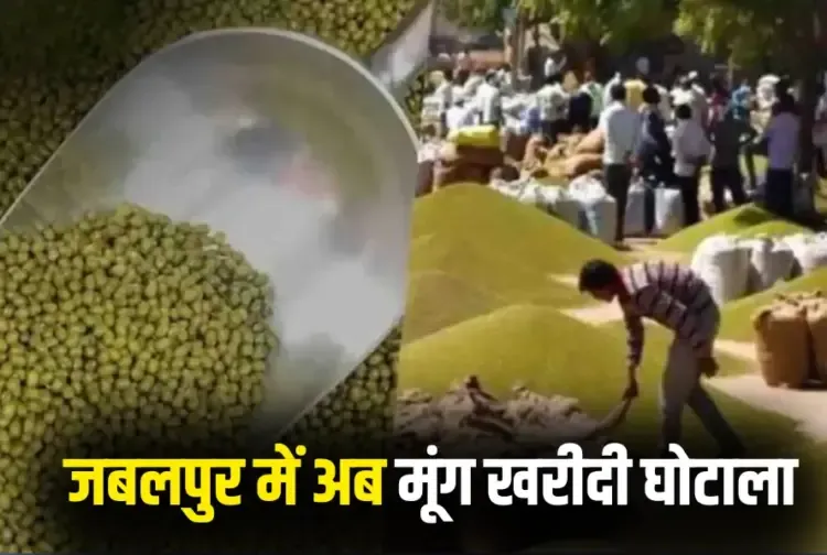 Jabalpur Moong Kharidi Scam News