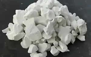  Monsoon 2025 wheat prevention tips 