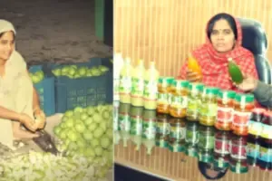 Hygiene in Pickle Business Idea