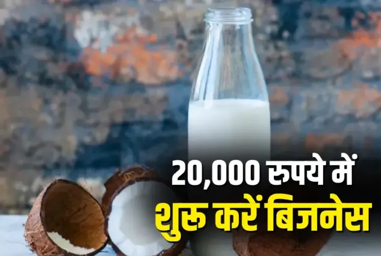 Low Investment High Profit Nariyal Business Idea